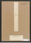Diatomeae indet. (de-Toni-Nr.: Species 2112 ?) Zeichnungen Sammlung Grunow Nr. 4394 (NHMW-BOT-W0372563)